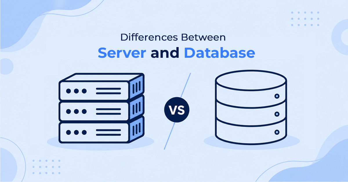Differences between Server and Database 